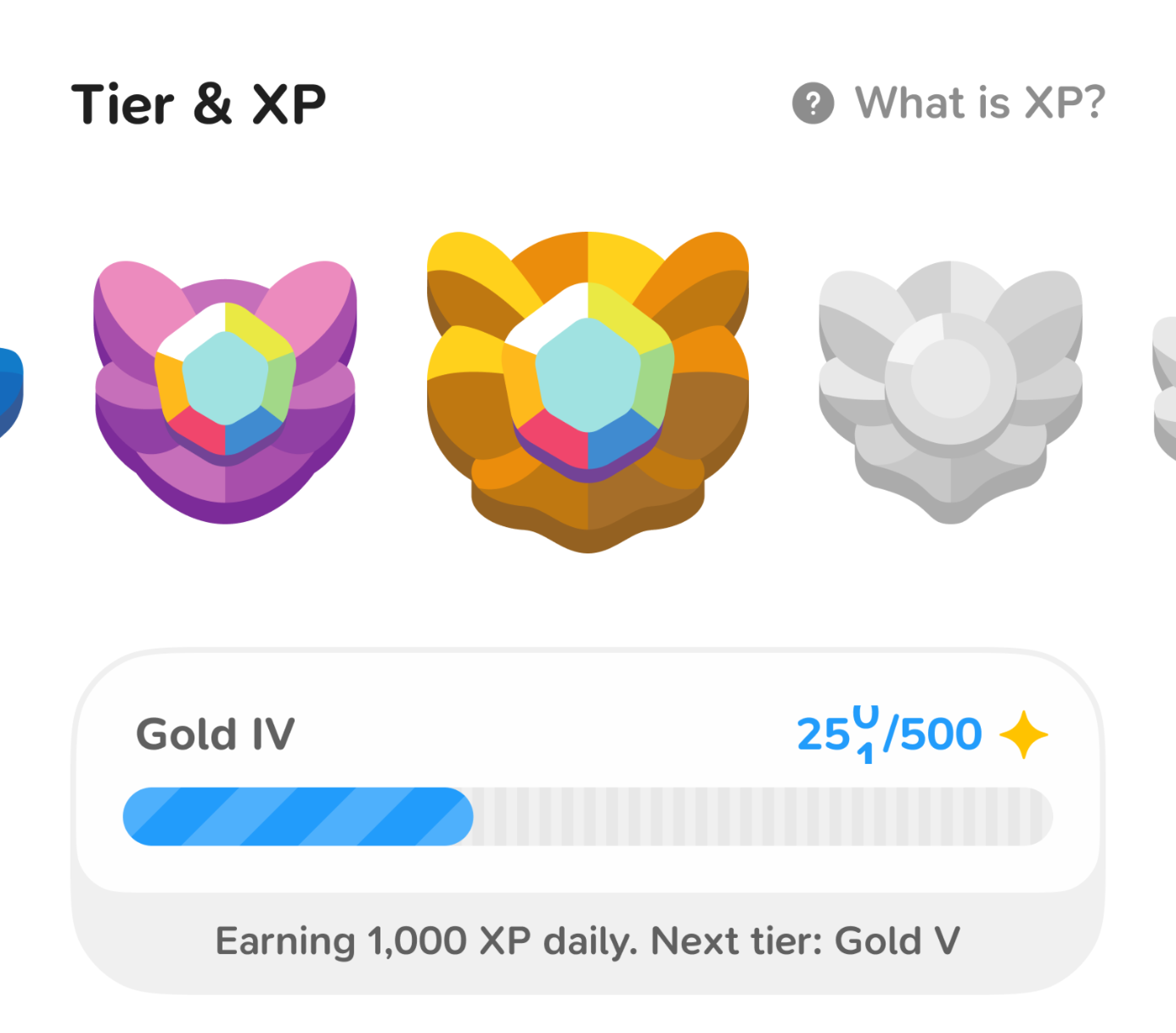 XP progress design exploration